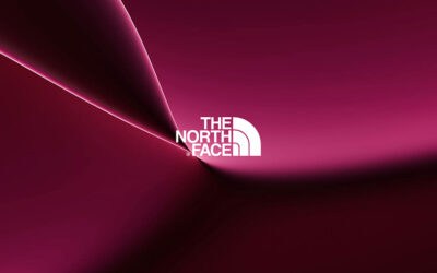 The North Face Flow